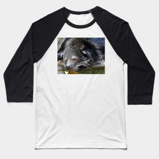 Binturong Baseball T-Shirt